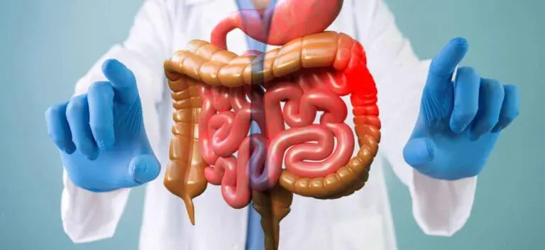 Você já ouviu falar sobre Doenças Intestinais Inflamatórias?